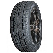 Шины DoubleStar DW09 275/40 R20 106V XL