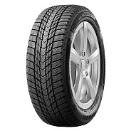 Roadstone Winguard Ice plus