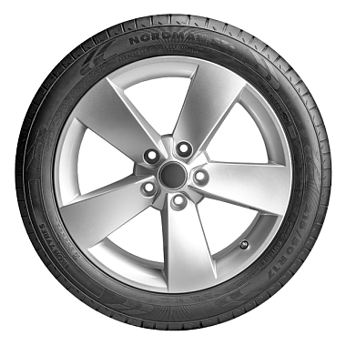 Шины Ikon Tyres Nordman SZ 2 225/50 R17 98W XL 2023+