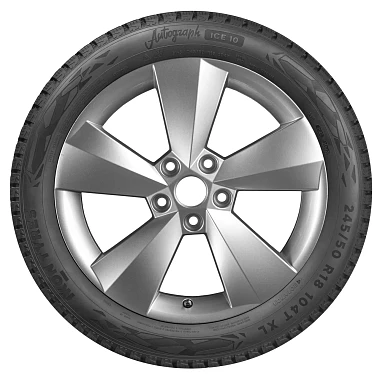 Шины Ikon Tyres Autograph Ice 10 205/55 R16 94T XL