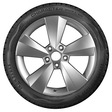 Шины Ikon Tyres Character Snow 2 SUV 225/65 R17 106R XL