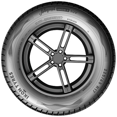Шины Ikon Tyres Autograph Snow 3 SUV 265/55 R19 113R XL