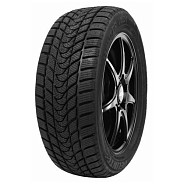 Шины Delinte Winter WD1 275/40 R19 101H