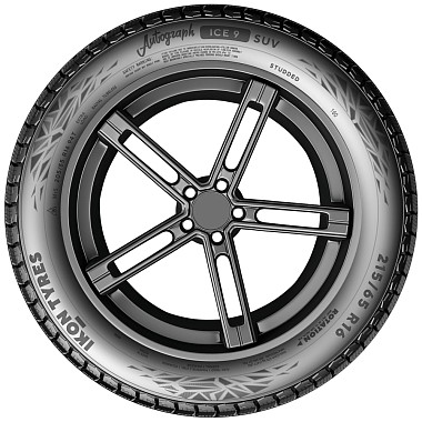 Шины Ikon Tyres Autograph Ice 9 SUV 245/65 R17 111T XL