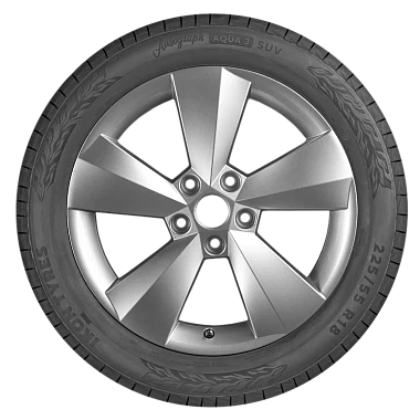 Шины Ikon Tyres Autograph Aqua 3 SUV 225/55 R19 103V XL