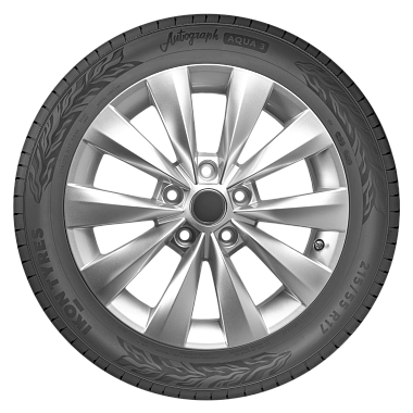 Шины Ikon Tyres Autograph Aqua 3 205/55 R16 94V XL
