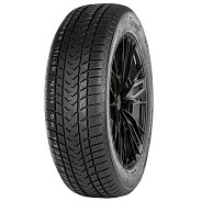 Шины Gripmax SureGrip eWinter