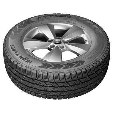 Шины Ikon Tyres Autograph Snow C4 225/75 R16C 121/120R