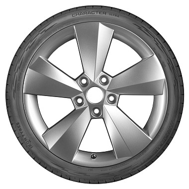 Шины Ikon Tyres Character Ultra 205/55 R16 94V XL
